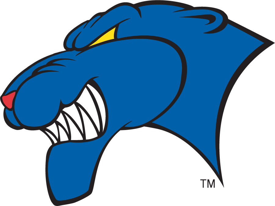 Georgia State Panthers 2002-2009 Alternate Logo iron on transfers for clothing